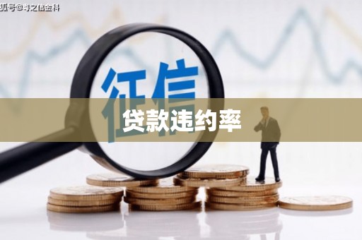 龙游贷款违约率