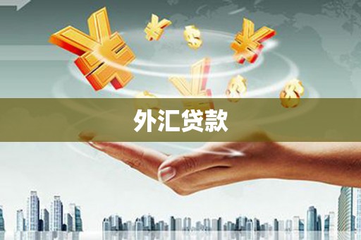龙游外汇贷款