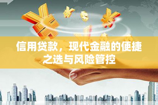 龙游信用贷款，现代金融的便捷之选与风险管控