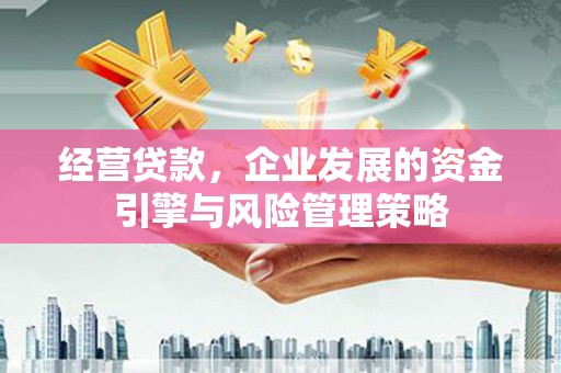 龙游经营贷款，企业发展的资金引擎与风险管理策略