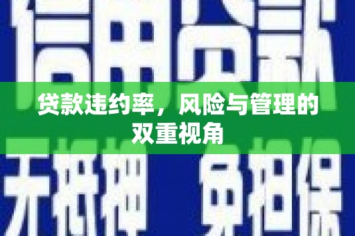龙游贷款违约率，风险与管理的双重视角