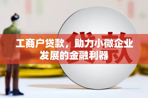 龙游工商户贷款，助力小微企业发展的金融利器