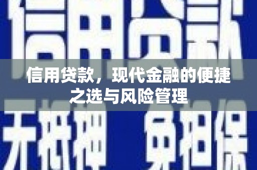 龙游信用贷款，现代金融的便捷之选与风险管理