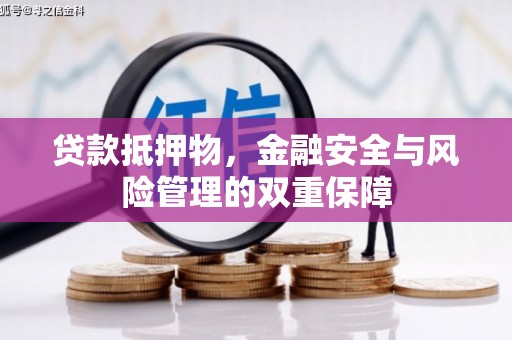 龙游贷款抵押物，金融安全与风险管理的双重保障