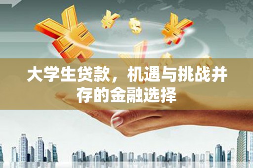 龙游大学生贷款，机遇与挑战并存的金融选择