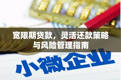 龙游宽限期贷款，灵活还款策略与风险管理指南