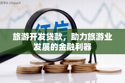 龙游旅游开发贷款，助力旅游业发展的金融利器