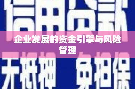 龙游企业发展的资金引擎与风险管理