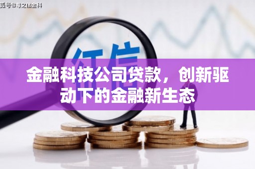 龙游金融科技公司贷款，创新驱动下的金融新生态