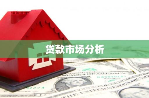 龙游贷款市场分析