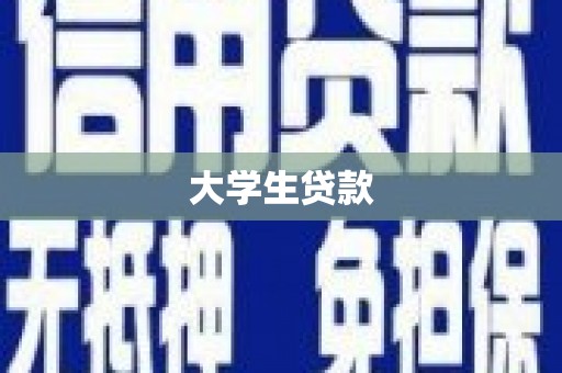 龙游大学生贷款