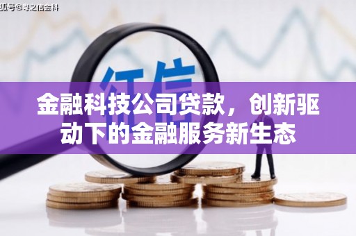 龙游金融科技公司贷款，创新驱动下的金融服务新生态