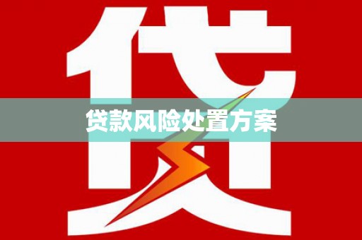 龙游贷款风险处置方案