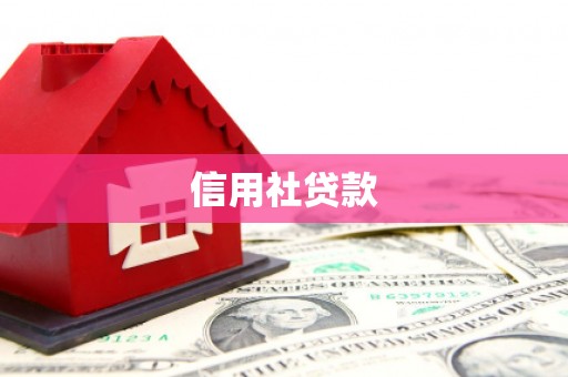 龙游信用社贷款