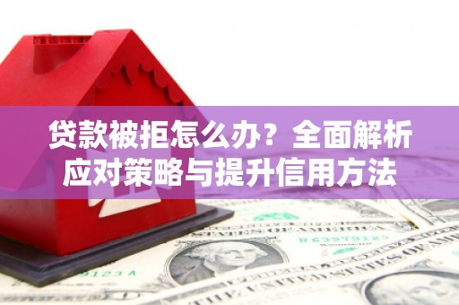 龙游贷款被拒怎么办？全面解析应对策略与提升信用方法