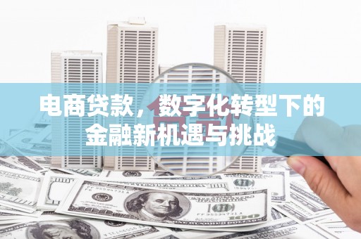 龙游电商贷款，数字化转型下的金融新机遇与挑战