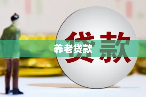 龙游养老贷款