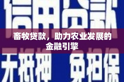 龙游畜牧贷款，助力农业发展的金融引擎