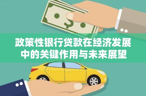 龙游政策性银行贷款在经济发展中的关键作用与未来展望