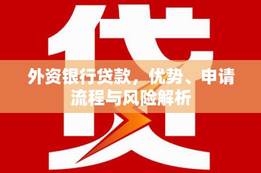 龙游外资银行贷款，优势、申请流程与风险解析