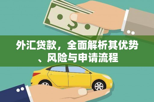 龙游外汇贷款，全面解析其优势、风险与申请流程