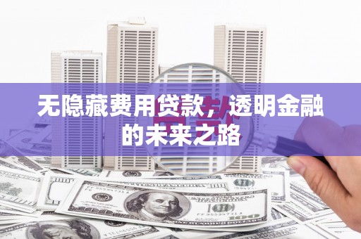龙游无隐藏费用贷款，透明金融的未来之路