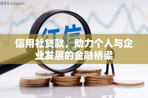 龙游信用社贷款，助力个人与企业发展的金融桥梁