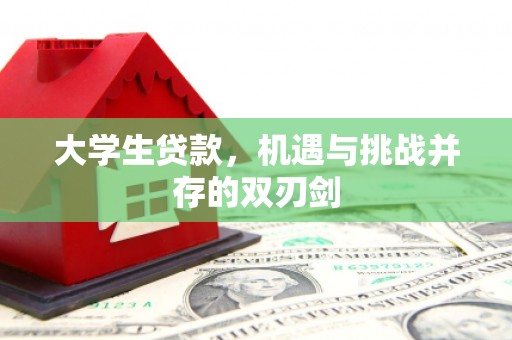 龙游大学生贷款，机遇与挑战并存的双刃剑