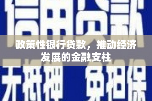 龙游政策性银行贷款，推动经济发展的金融支柱