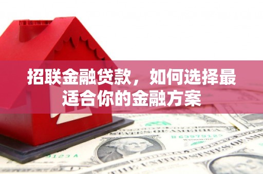 龙游招联金融贷款，如何选择最适合你的金融方案