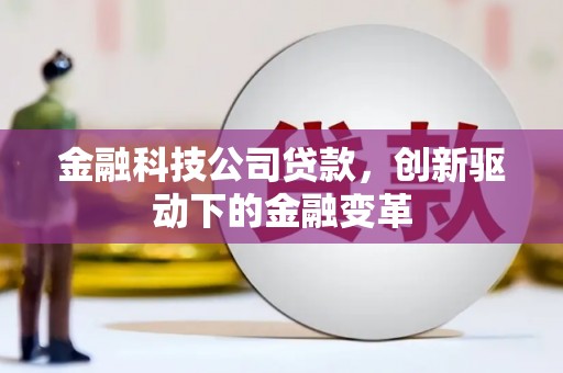 龙游金融科技公司贷款，创新驱动下的金融变革