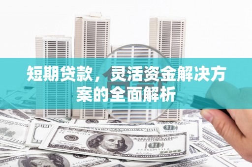 龙游短期贷款，灵活资金解决方案的全面解析