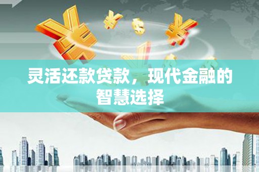 龙游灵活还款贷款，现代金融的智慧选择