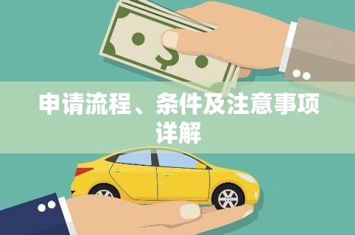 龙游申请流程、条件及注意事项详解