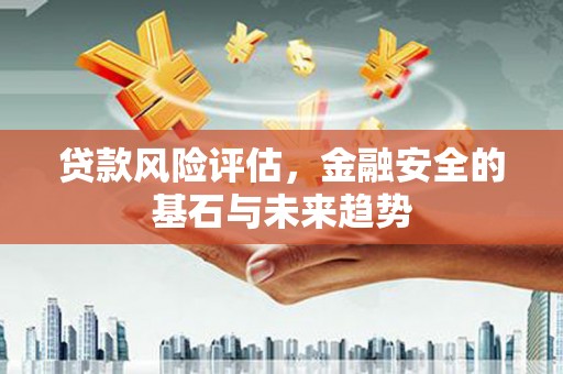 龙游贷款风险评估，金融安全的基石与未来趋势