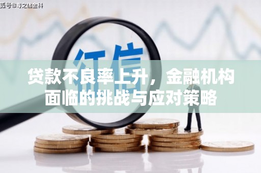 龙游贷款不良率上升，金融机构面临的挑战与应对策略