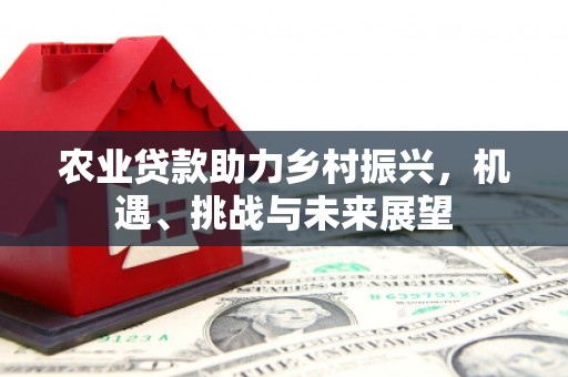 龙游农业贷款助力乡村振兴，机遇、挑战与未来展望