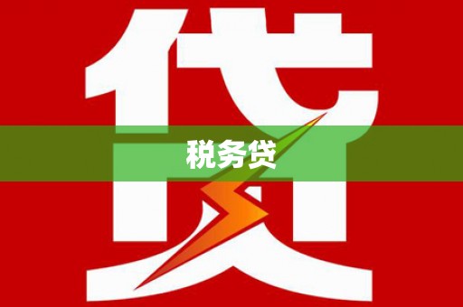 龙游税务贷