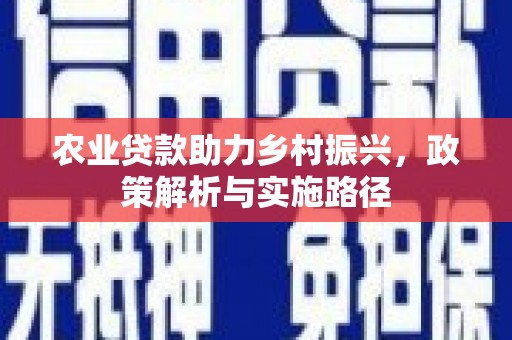 龙游农业贷款助力乡村振兴，政策解析与实施路径