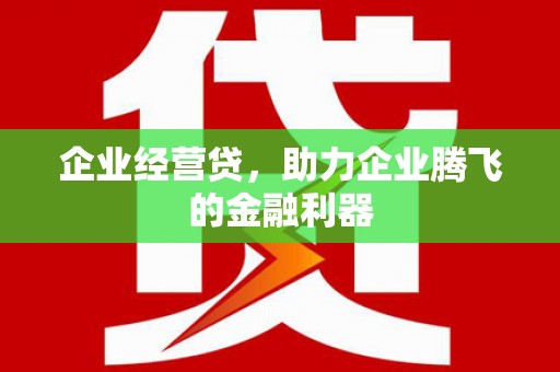 龙游企业经营贷，助力企业腾飞的金融利器