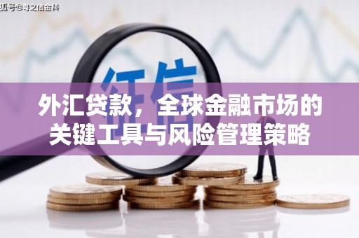 龙游外汇贷款，全球金融市场的关键工具与风险管理策略
