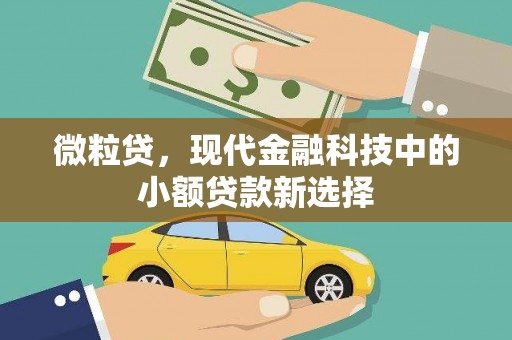 龙游微粒贷，现代金融科技中的小额贷款新选择