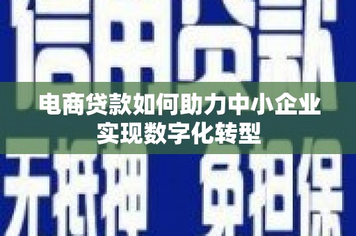 龙游电商贷款如何助力中小企业实现数字化转型