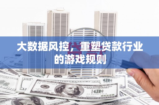 龙游大数据风控，重塑贷款行业的游戏规则