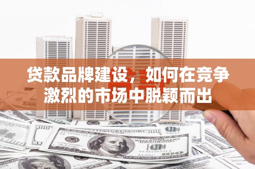 龙游贷款品牌建设，如何在竞争激烈的市场中脱颖而出