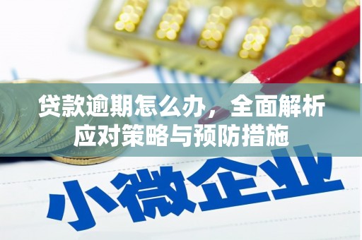 龙游贷款逾期怎么办，全面解析应对策略与预防措施