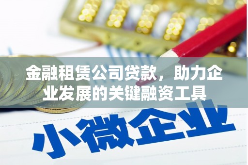 龙游金融租赁公司贷款，助力企业发展的关键融资工具