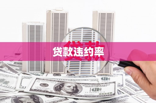 龙游贷款违约率