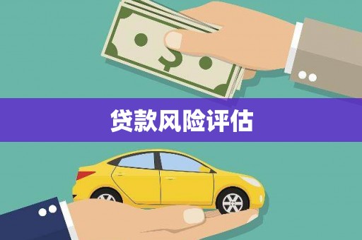 龙游贷款风险评估