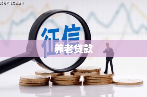 龙游养老贷款